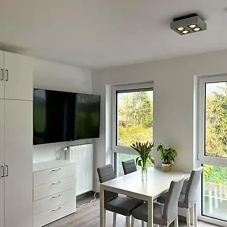 Wolff Daire *
